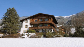 Apartments in Hart im Zillertal 746